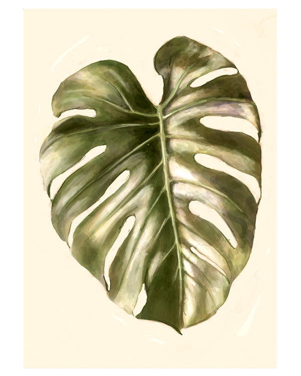 Plants Monstera Pink background Wall Art Print Framed